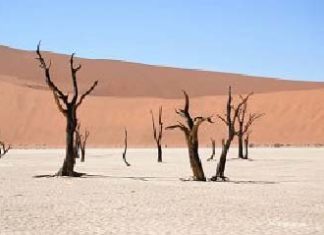 Namibia - wakacje w Afryce z biurem podróży LogosTour