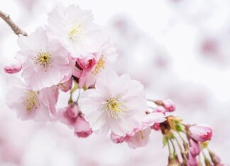 Gdzie na świecie żyje się najlepiej?