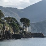 Ile kosztuje wiza pracownicza w Australii?