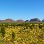 Ile pieniędzy na wyjazd do Australii?