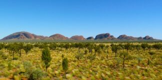 Ile pieniędzy na wyjazd do Australii?