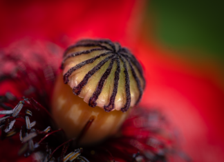 Czy 8 GB pamięci RAM to dużo? Czy 8 GB pamięci RAM to dużo?