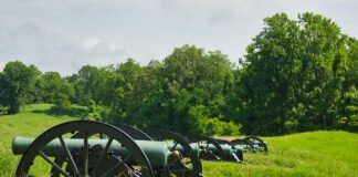 Jakie mogą być stanowiska pracy?