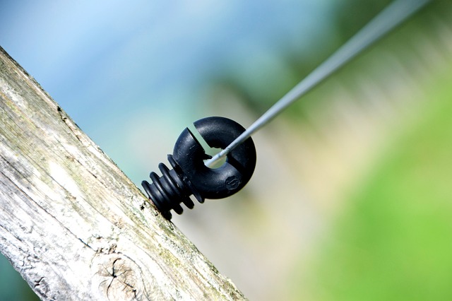 Gdzie jest najwięcej Polaków na emigracji? Gdzie jest najwięcej Polaków na emigracji?